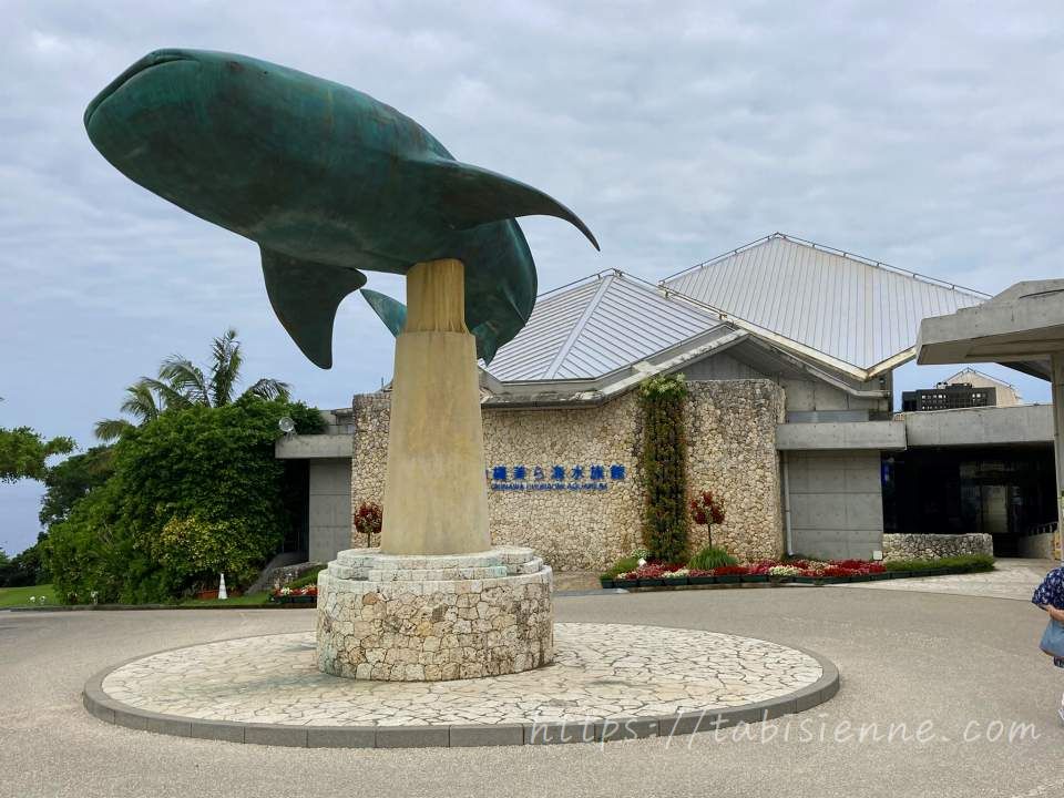 沖縄旅行2022美ら海水族館
